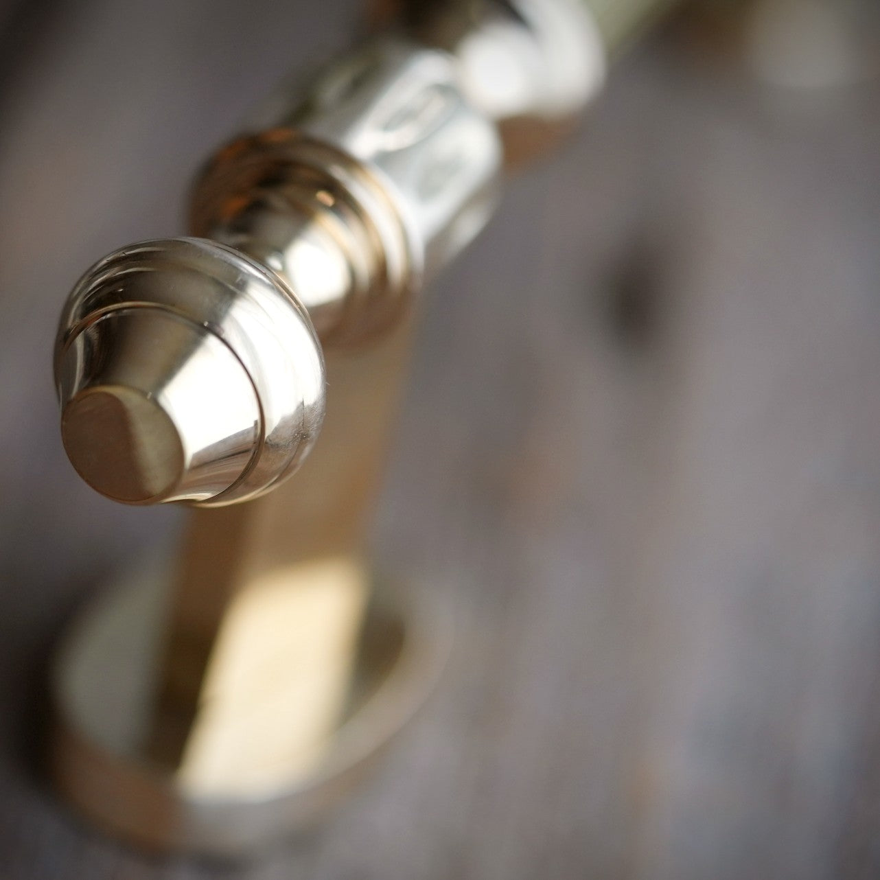 Brass Entryway Door Pull – 13" (pair)