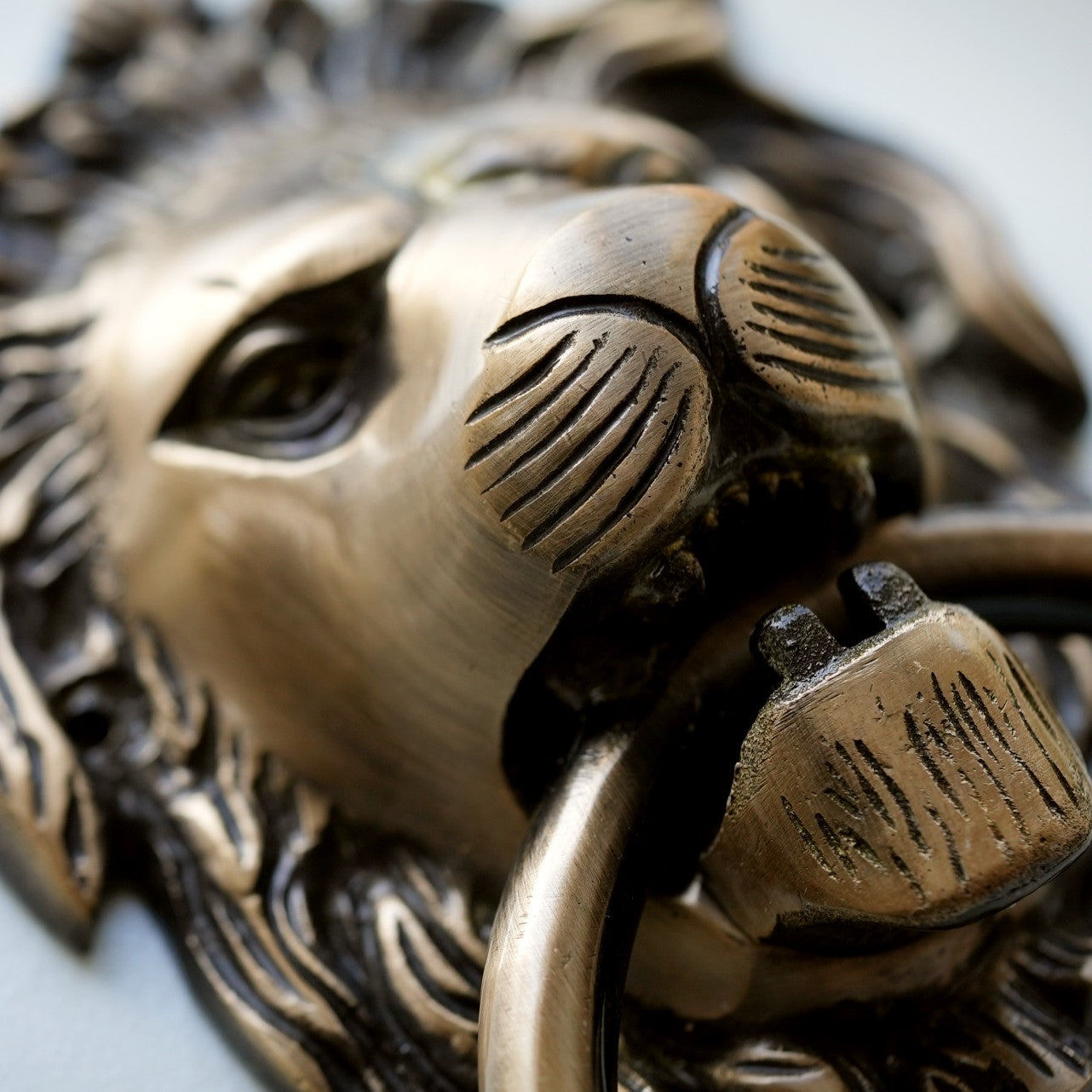 Brass Lion Door Knocker
