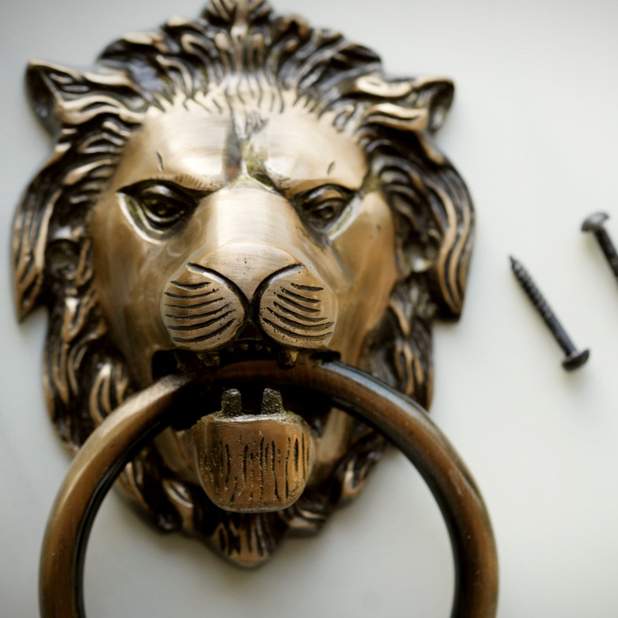 Brass Lion Door Knocker
