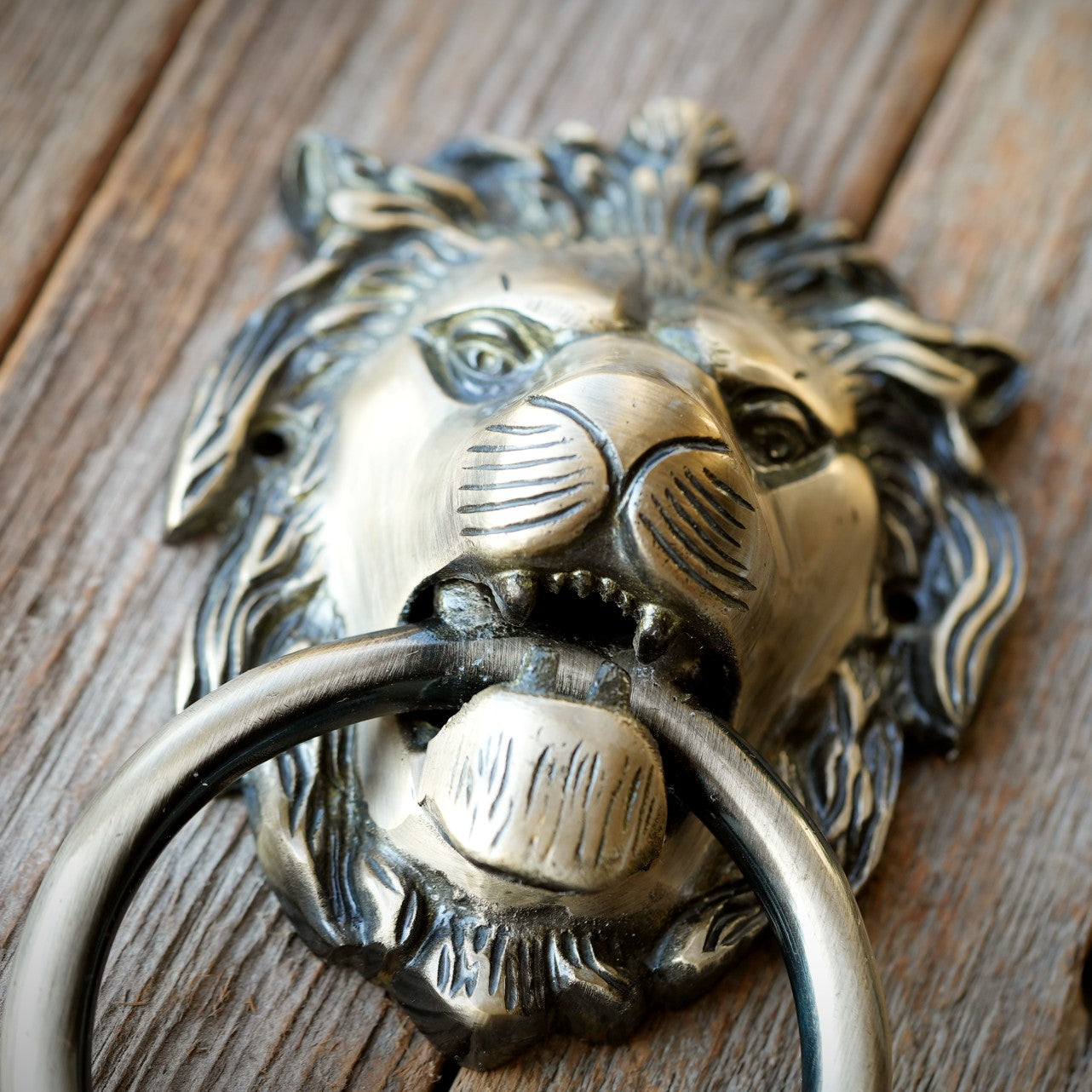 Brass Lion Door Knocker