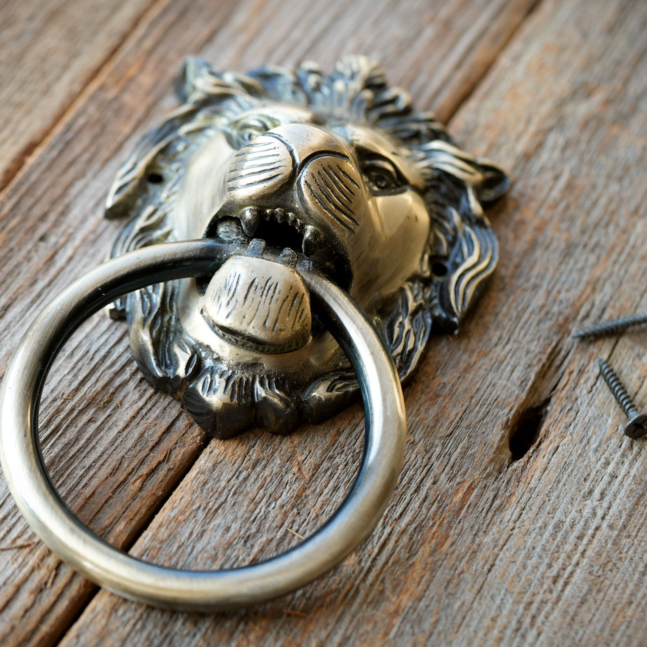 Brass Lion Door Knocker